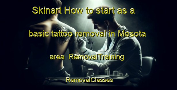 Skinart How to start as a basic tattoo removal in Mesota area | RemovalTraining | RemovalClasses | SkinartTraining-Brazil