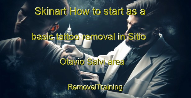 Skinart How to start as a basic tattoo removal in Sitio Otavio Salvi area | RemovalTraining | RemovalClasses | SkinartTraining-Brazil
