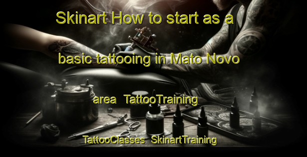 Skinart How to start as a basic tattooing in Mato Novo area | TattooTraining | TattooClasses | SkinartTraining-Brazil