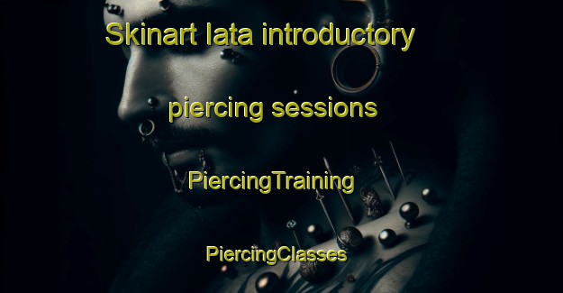 Skinart Iata introductory piercing sessions | PiercingTraining | PiercingClasses | SkinartTraining-Brazil