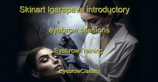 Skinart Igarapava introductory eyebrow sessions | EyebrowTraining | EyebrowClasses | SkinartTraining-Brazil