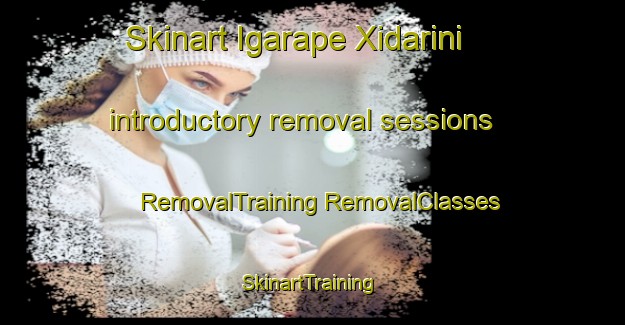 Skinart Igarape Xidarini introductory removal sessions | #RemovalTraining #RemovalClasses #SkinartTraining-Brazil