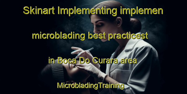 Skinart Implementing implemen microblading best practicest in Boca Do Curara area | MicrobladingTraining | MicrobladingClasses | SkinartTraining-Brazil
