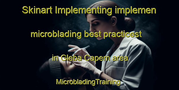 Skinart Implementing implemen microblading best practicest in Gleba Capem area | #MicrobladingTraining #MicrobladingClasses #SkinartTraining-Brazil