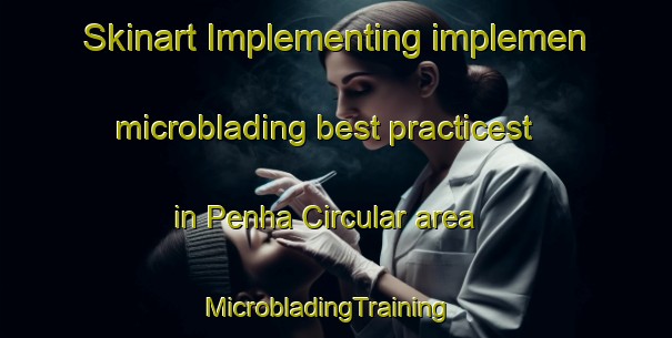 Skinart Implementing implemen microblading best practicest in Penha Circular area | MicrobladingTraining | MicrobladingClasses | SkinartTraining-Brazil