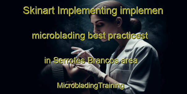 Skinart Implementing implemen microblading best practicest in Serrotes Brancos area | MicrobladingTraining | MicrobladingClasses | SkinartTraining-Brazil
