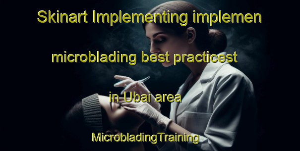 Skinart Implementing implemen microblading best practicest in Ubai area | MicrobladingTraining | MicrobladingClasses | SkinartTraining-Brazil