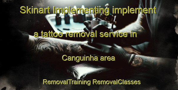 Skinart Implementing implement a tattoo removal service in Canguinha area | #RemovalTraining #RemovalClasses #SkinartTraining-Brazil