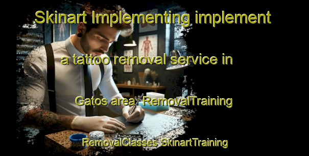 Skinart Implementing implement a tattoo removal service in Gatos area | #RemovalTraining #RemovalClasses #SkinartTraining-Brazil