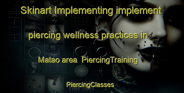 Skinart Implementing implement piercing wellness practices in Matao area | PiercingTraining | PiercingClasses | SkinartTraining-Brazil