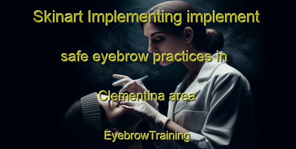 Skinart Implementing implement safe eyebrow practices in Clementina area | EyebrowTraining | EyebrowClasses | SkinartTraining-Brazil