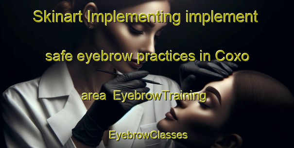 Skinart Implementing implement safe eyebrow practices in Coxo area | EyebrowTraining | EyebrowClasses | SkinartTraining-Brazil