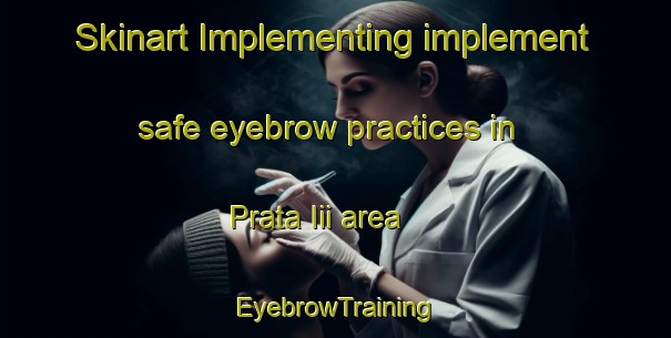 Skinart Implementing implement safe eyebrow practices in Prata Iii area | EyebrowTraining | EyebrowClasses | SkinartTraining-Brazil