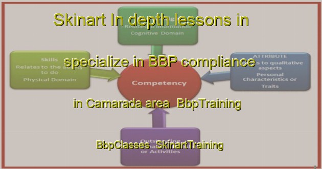 Skinart In-depth lessons in specialize in BBP compliance in Camarada area | BbpTraining | BbpClasses | SkinartTraining-Brazil