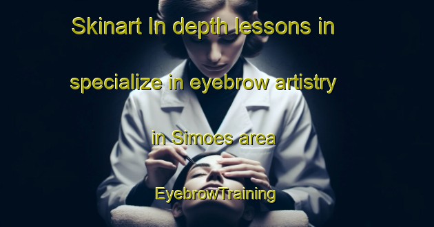 Skinart In-depth lessons in specialize in eyebrow artistry in Simoes area | EyebrowTraining | EyebrowClasses | SkinartTraining-Brazil