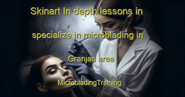 Skinart In-depth lessons in specialize in microblading in Granjas area | MicrobladingTraining | MicrobladingClasses | SkinartTraining-Brazil