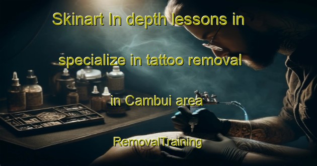 Skinart In-depth lessons in specialize in tattoo removal in Cambui area | RemovalTraining | RemovalClasses | SkinartTraining-Brazil