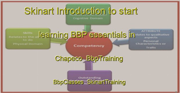 Skinart Introduction to start learning BBP essentials in Chapeco | BbpTraining | BbpClasses | SkinartTraining-Brazil