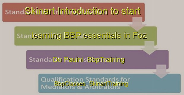 Skinart Introduction to start learning BBP essentials in Foz Do Pauini | BbpTraining | BbpClasses | SkinartTraining-Brazil
