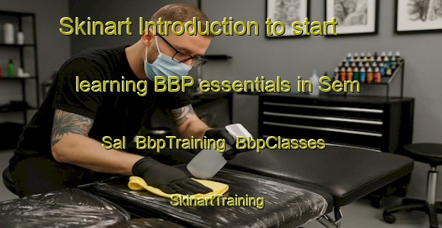 Skinart Introduction to start learning BBP essentials in Sem Sal | BbpTraining | BbpClasses | SkinartTraining-Brazil