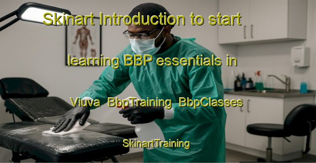 Skinart Introduction to start learning BBP essentials in Viuva | BbpTraining | BbpClasses | SkinartTraining-Brazil