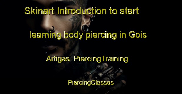 Skinart Introduction to start learning body piercing in Gois Artigas | #PiercingTraining #PiercingClasses #SkinartTraining-Brazil