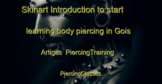 Skinart Introduction to start learning body piercing in Gois Artigas | #PiercingTraining #PiercingClasses #SkinartTraining-Brazil