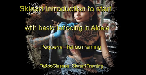 Skinart Introduction to start with basic tattooing in Aldeia Pequena | TattooTraining | TattooClasses | SkinartTraining-Brazil
