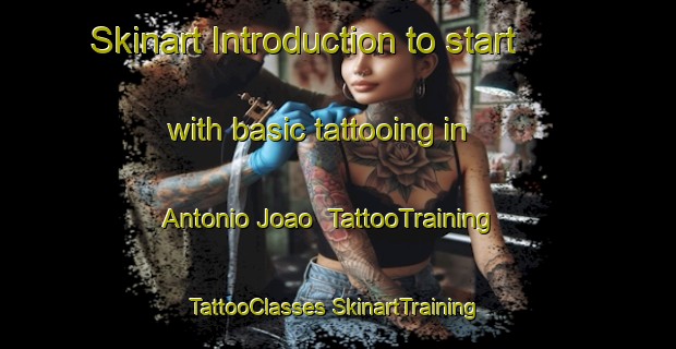 Skinart Introduction to start with basic tattooing in Antonio Joao | #TattooTraining #TattooClasses #SkinartTraining-Brazil