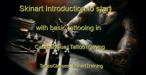 Skinart Introduction to start with basic tattooing in Caranandiua | TattooTraining | TattooClasses | SkinartTraining-Brazil