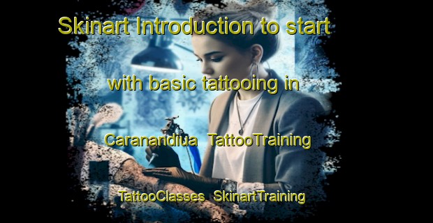 Skinart Introduction to start with basic tattooing in Caranandiua | TattooTraining | TattooClasses | SkinartTraining-Brazil