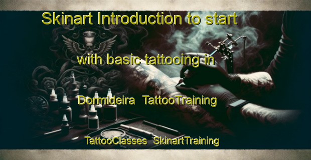 Skinart Introduction to start with basic tattooing in Dormideira | TattooTraining | TattooClasses | SkinartTraining-Brazil