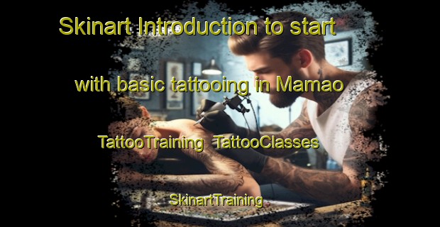 Skinart Introduction to start with basic tattooing in Mamao | TattooTraining | TattooClasses | SkinartTraining-Brazil