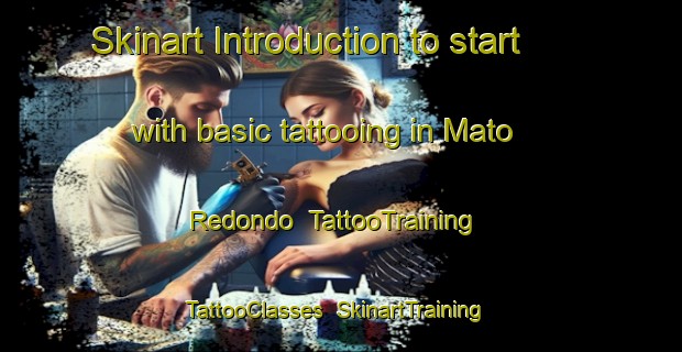 Skinart Introduction to start with basic tattooing in Mato Redondo | TattooTraining | TattooClasses | SkinartTraining-Brazil