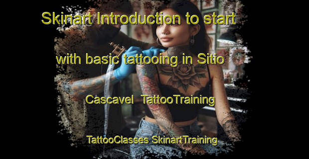 Skinart Introduction to start with basic tattooing in Sitio Cascavel | #TattooTraining #TattooClasses #SkinartTraining-Brazil