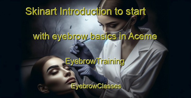 Skinart Introduction to start with eyebrow basics in Aceme | EyebrowTraining | EyebrowClasses | SkinartTraining-Brazil