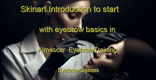 Skinart Introduction to start with eyebrow basics in Almescar | EyebrowTraining | EyebrowClasses | SkinartTraining-Brazil