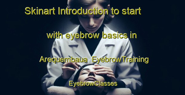 Skinart Introduction to start with eyebrow basics in Arequembaua | EyebrowTraining | EyebrowClasses | SkinartTraining-Brazil