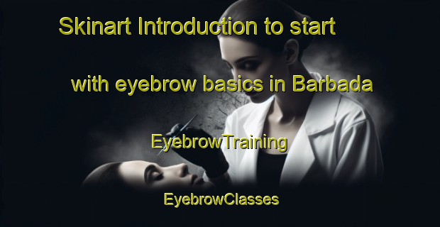 Skinart Introduction to start with eyebrow basics in Barbada | EyebrowTraining | EyebrowClasses | SkinartTraining-Brazil