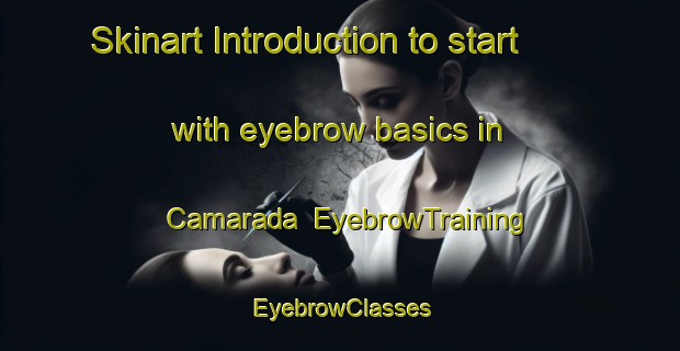 Skinart Introduction to start with eyebrow basics in Camarada | EyebrowTraining | EyebrowClasses | SkinartTraining-Brazil