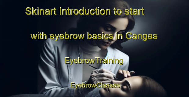 Skinart Introduction to start with eyebrow basics in Cangas | EyebrowTraining | EyebrowClasses | SkinartTraining-Brazil