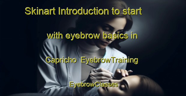 Skinart Introduction to start with eyebrow basics in Capricho | EyebrowTraining | EyebrowClasses | SkinartTraining-Brazil