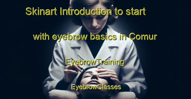 Skinart Introduction to start with eyebrow basics in Comur | EyebrowTraining | EyebrowClasses | SkinartTraining-Brazil