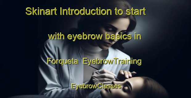 Skinart Introduction to start with eyebrow basics in Forqueta | EyebrowTraining | EyebrowClasses | SkinartTraining-Brazil
