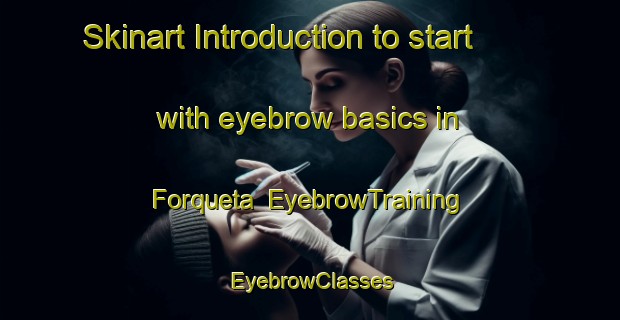 Skinart Introduction to start with eyebrow basics in Forqueta | EyebrowTraining | EyebrowClasses | SkinartTraining-Brazil