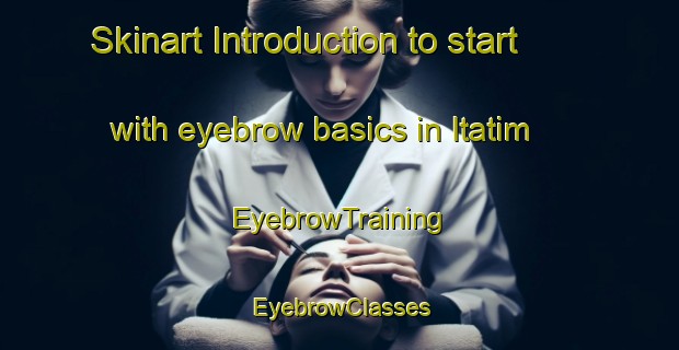 Skinart Introduction to start with eyebrow basics in Itatim | EyebrowTraining | EyebrowClasses | SkinartTraining-Brazil