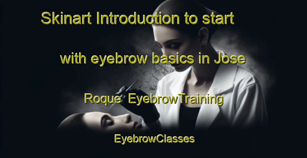 Skinart Introduction to start with eyebrow basics in Jose Roque | EyebrowTraining | EyebrowClasses | SkinartTraining-Brazil