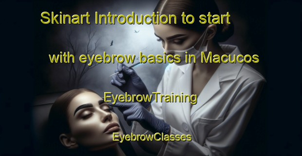 Skinart Introduction to start with eyebrow basics in Macucos | EyebrowTraining | EyebrowClasses | SkinartTraining-Brazil