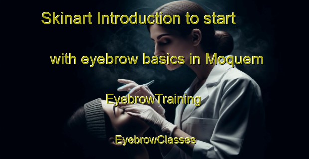 Skinart Introduction to start with eyebrow basics in Moquem | EyebrowTraining | EyebrowClasses | SkinartTraining-Brazil