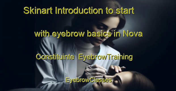 Skinart Introduction to start with eyebrow basics in Nova Constituinte | EyebrowTraining | EyebrowClasses | SkinartTraining-Brazil